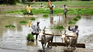 PM Kisan 23rd Installment